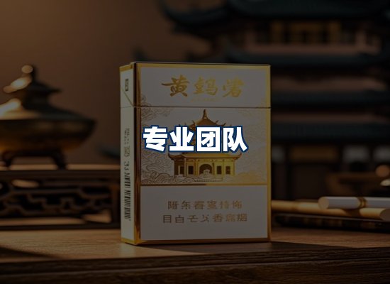 专业团队